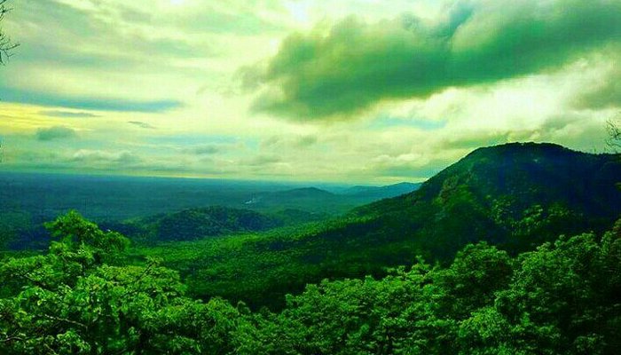 agumbe tour package from bangalore agumbe tour package from bangalore
