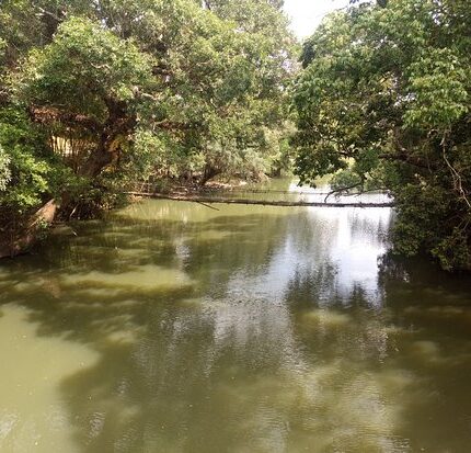 Nisargadhama Tour Package 2 Days