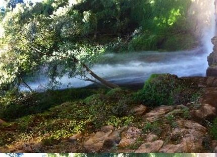 Chakrata Tiger Falls Budher Caves Deoban tour package 6 days