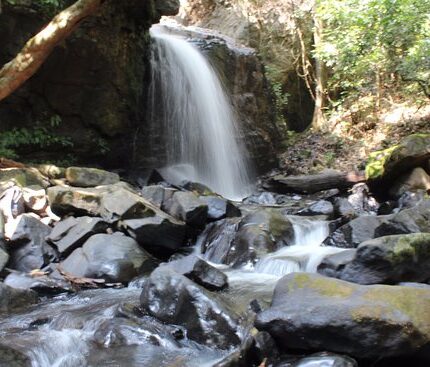 Ulavi Tour Package 2 Days