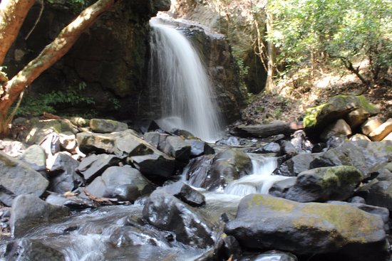 Ulavi Tour Package 2 Days Ulavi Tour Package 2 Days