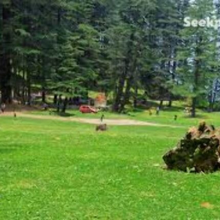 Chakrata Tiger Falls Kanasar tour package 4 days