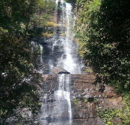 chikmagalur tour package from mumbai 4 days