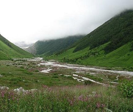 Badrinath Auli Mana Village Valley of Flowers Hemkund Sahib tour package 8 days