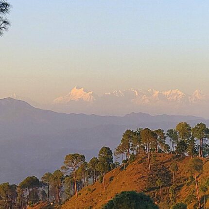 Ranikhet Almora Binsar Jageshwar Tour Package 5 Days