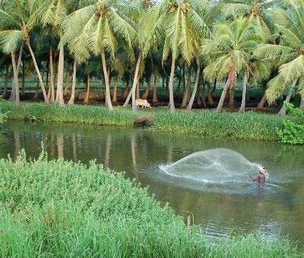 Konaseema Tour Package 2 Days Best Price