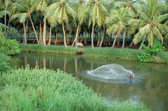 Konaseema Tour Package 2 Days Best Price Konaseema Tour Package 2 Days Best Price