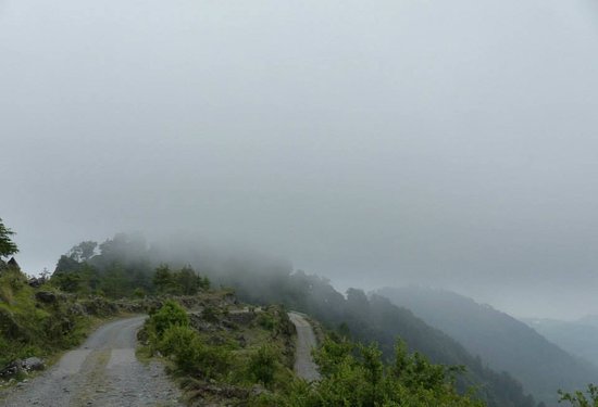 Chakrata Deoban Kanasar tour package 4 days Chakrata Deoban Kanasar tour package 4 days