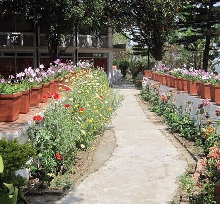 Champawat Abbott Mount Mayawati Ashram Tour Package 4 Days