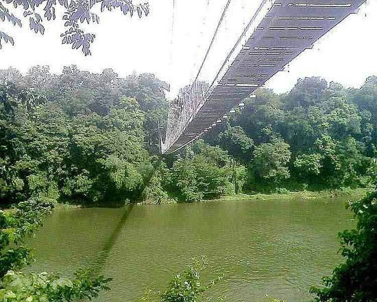 Ooty Coonoor Kotagiri Nilambur Wayanad Tour Package 6 Days Ooty Coonoor Kotagiri Nilambur Wayanad Tour Package 6 Days