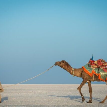 Dhordo Dholavira tour package 3 days