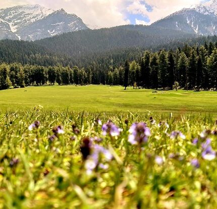Gulmarg Pahalgam Sonmarg Yusmarg Doodhpathri Tour Package 7 Days